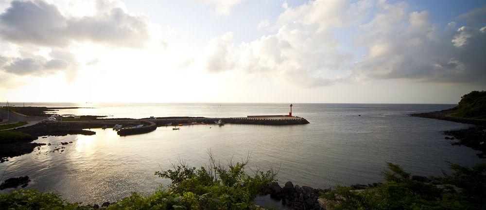 Stanford Hotel And Resort Jeju Exterior photo